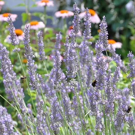 Guest house Double Two